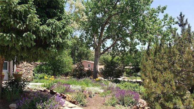 5298 Pony Creek Cir, Colorado Springs, CO 80919 - view of yard