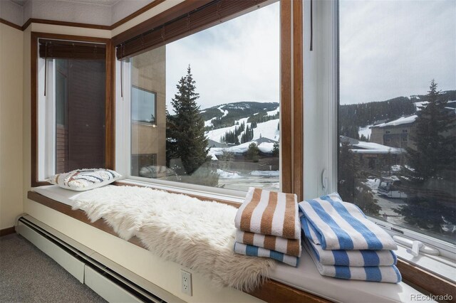 bedroom featuring a mountain view and carpet