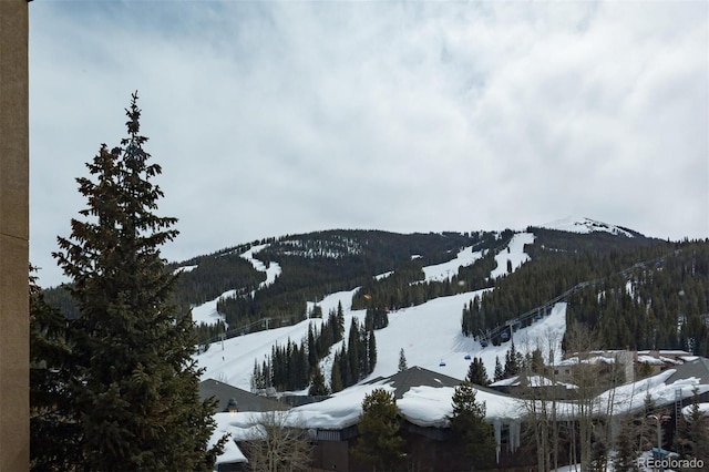 property view of mountains featuring a wooded view