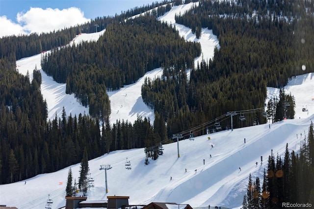 snowy aerial view featuring a wooded view