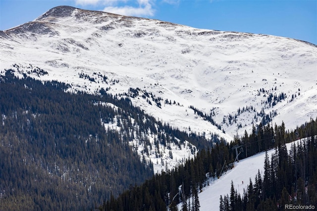 property view of mountains featuring a forest view