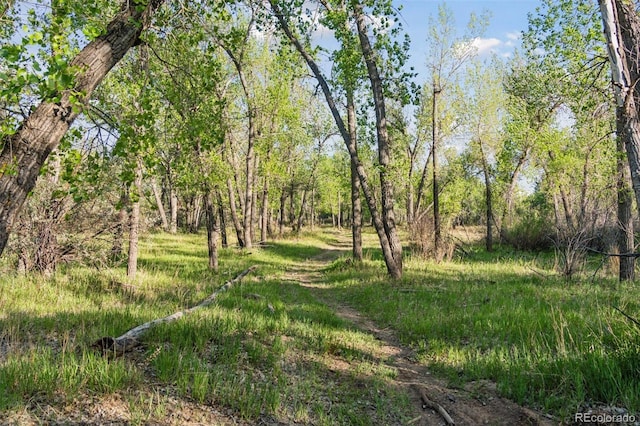 16990 Old Pueblo Rd, Fountain, CO 80817 - photo 37