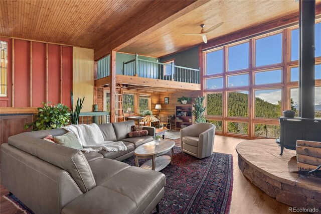 1450 Empire Valley Dr, Leadville, CO 80461 - photo 20