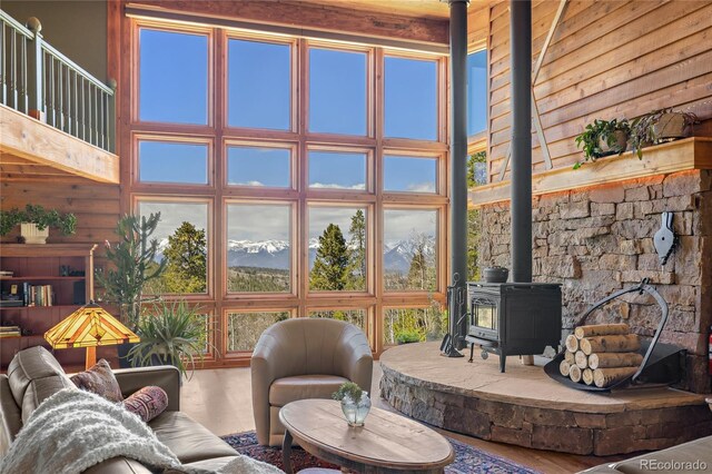 1450 Empire Valley Dr, Leadville, CO 80461 - photo 22