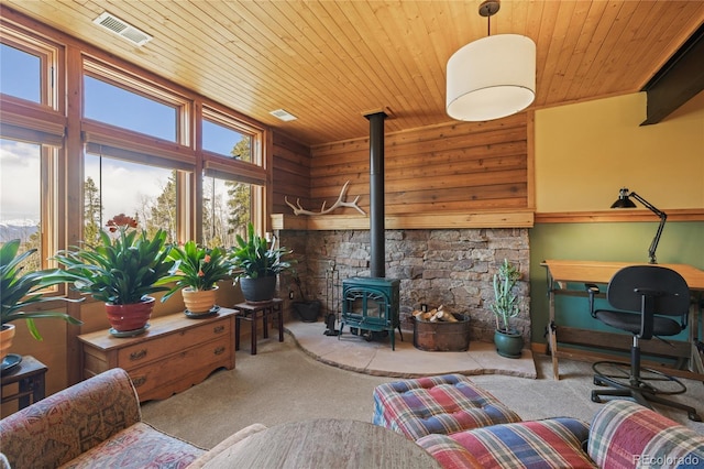 1450 Empire Valley Dr, Leadville, CO 80461 - photo 32