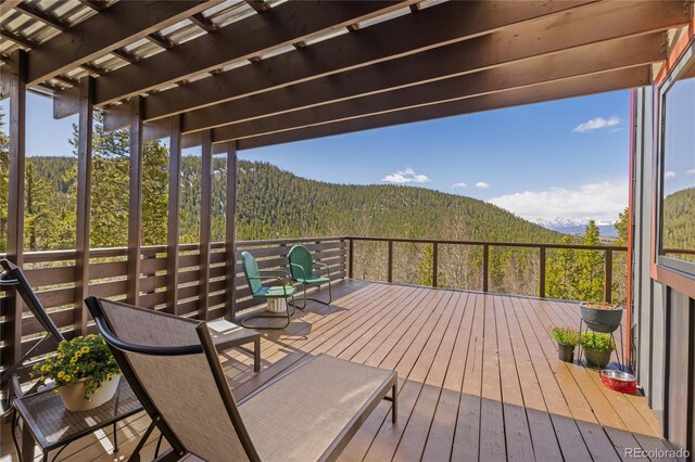 1450 Empire Valley Dr, Leadville, CO 80461 - photo 42