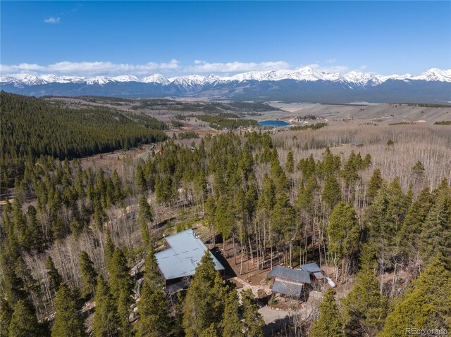 1450 Empire Valley Dr, Leadville, CO 80461 - photo 44