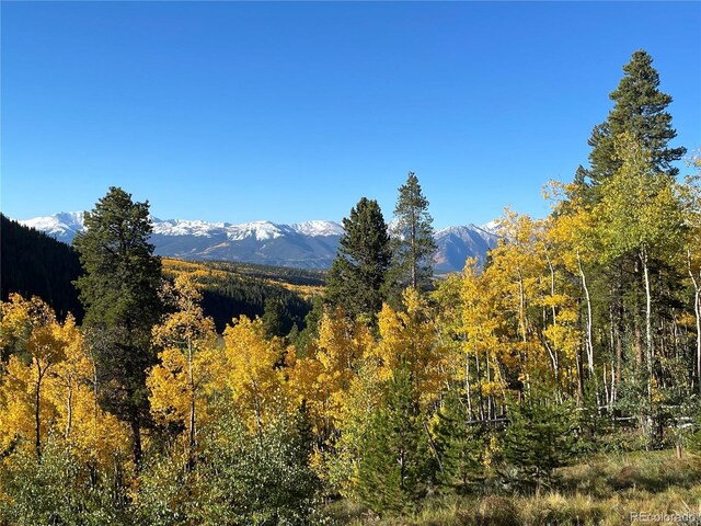 1450 Empire Valley Dr, Leadville, CO 80461 - photo 48