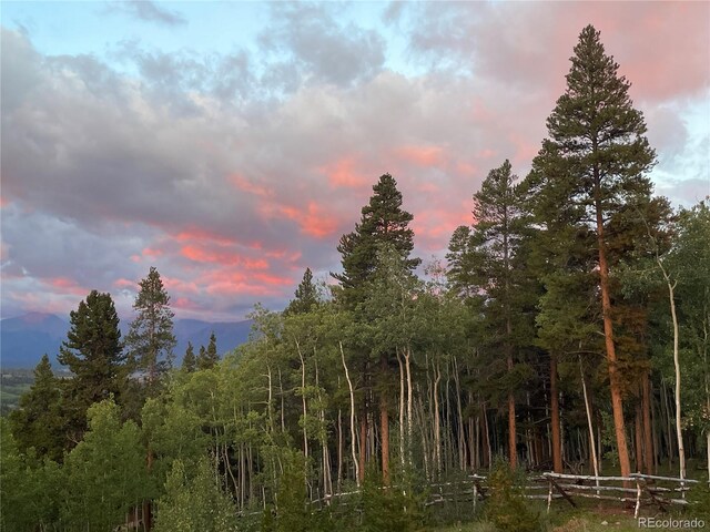 1450 Empire Valley Dr, Leadville, CO 80461 - photo 49