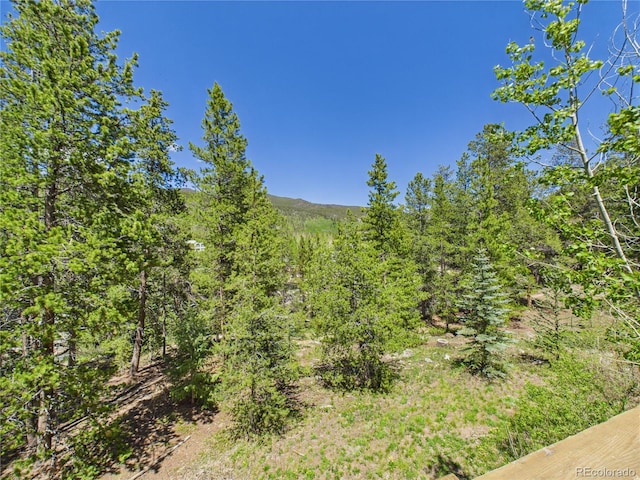 27 Lake Ridge Cir Unit 1842, Dillon, CO 80435 - view of mountain background with a heavily wooded area