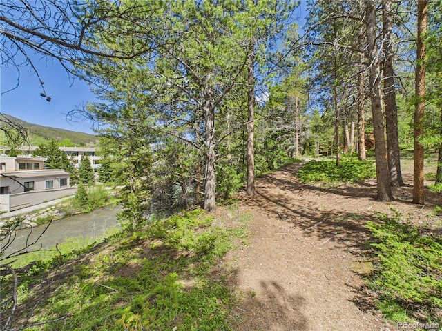 27 Lake Ridge Cir Unit 1842, Dillon, CO 80435 - view of yard