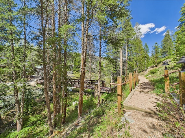27 Lake Ridge Cir Unit 1842, Dillon, CO 80435 - view of yard