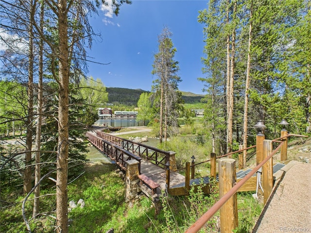 27 Lake Ridge Cir Unit 1842, Dillon, CO 80435 - view of yard with a water view