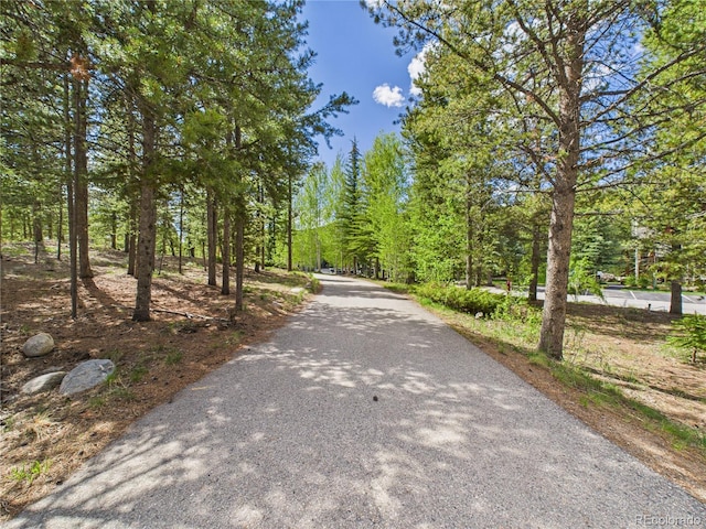 27 Lake Ridge Cir Unit 1842, Dillon, CO 80435 - view of street