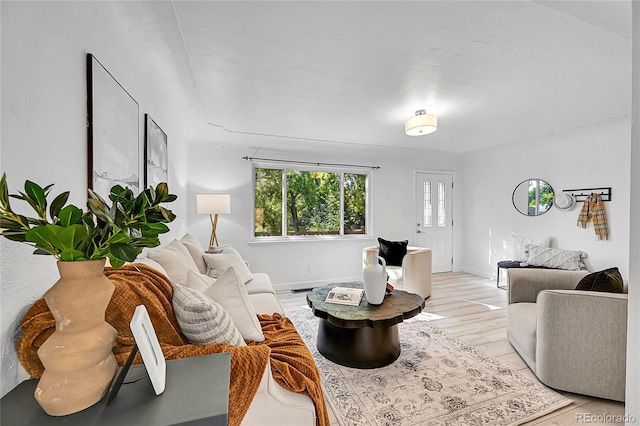 living room featuring light hardwood / wood-style floors