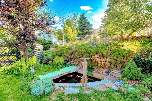 7681 S Jellison St, Littleton, CO 80127 - view of yard