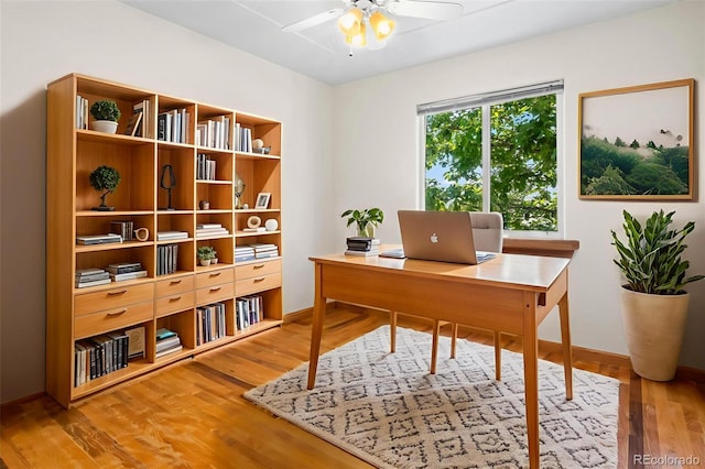 7681 S Jellison St, Littleton, CO 80127 - office area featuring a ceiling fan and wood finished floors