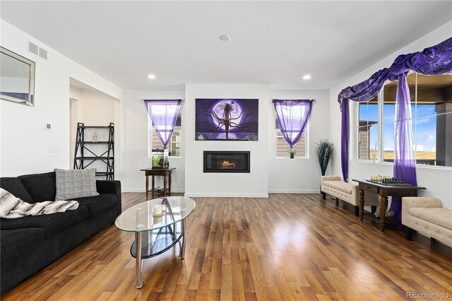 living room with a healthy amount of sunlight and hardwood / wood-style flooring