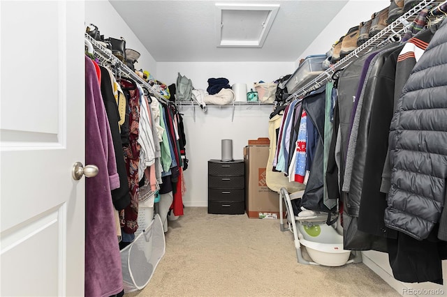 spacious closet with carpet