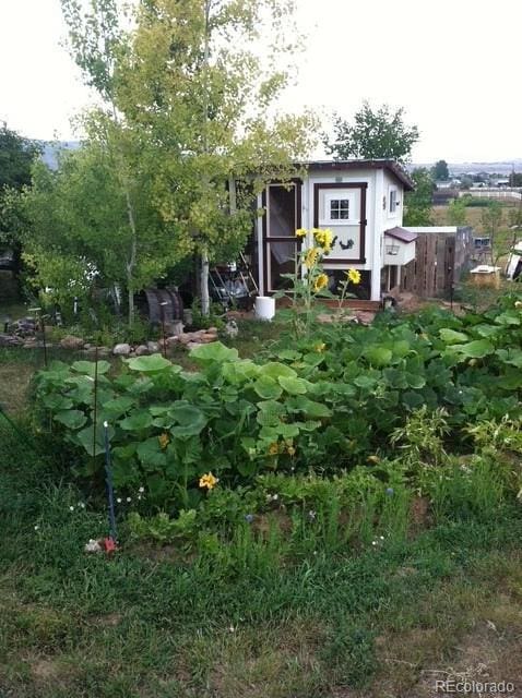 4808 Beverly Dr, Berthoud, CO 80513 - photo 34