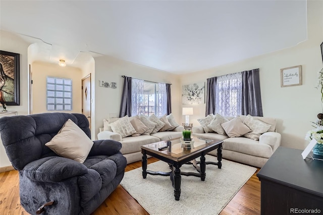 living room with hardwood / wood-style flooring