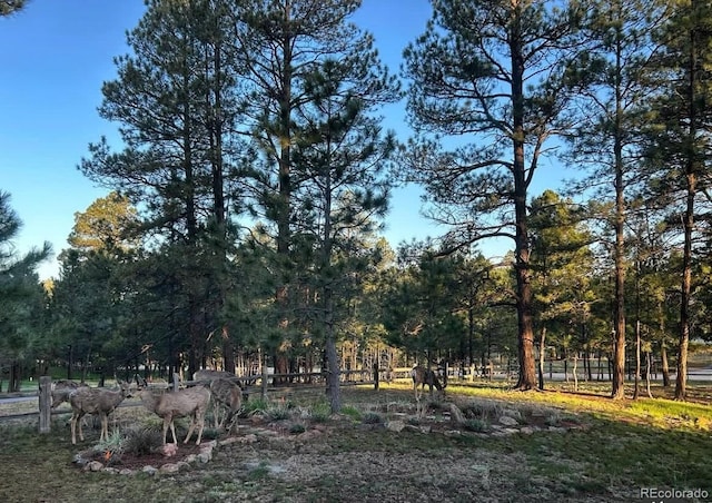 view of nature featuring a rural view