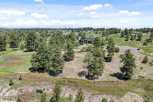 13171 Frannys Way, Parker, CO 80138 - photo 5