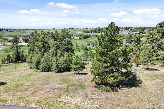 13171 Frannys Way, Parker, CO 80138 - photo 6