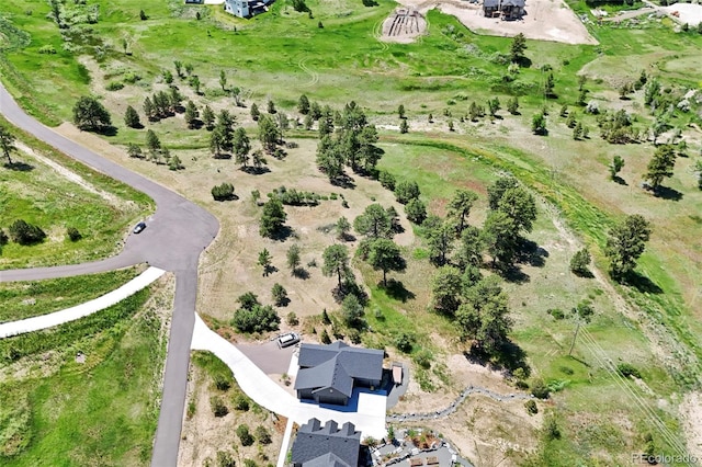 13171 Frannys Way, Parker, CO 80138 - photo 10