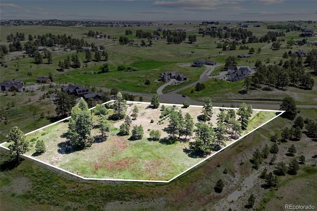 13171 Frannys Way, Parker, CO 80138 - photo 13