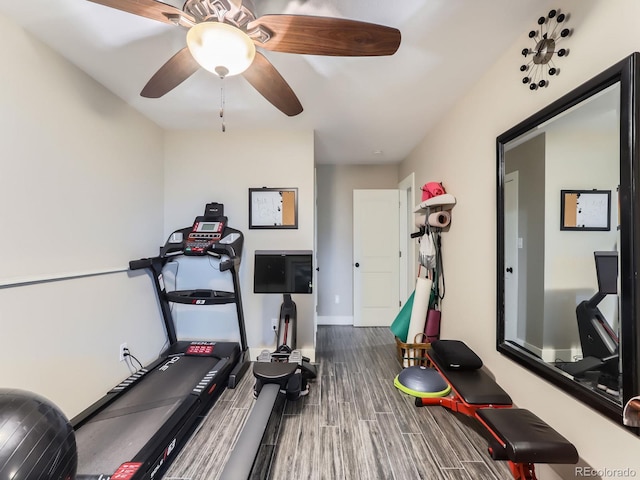 7273 Silverhorn Dr, Evergreen, CO 80439 - exercise room with wood finished floors, baseboards, and ceiling fan