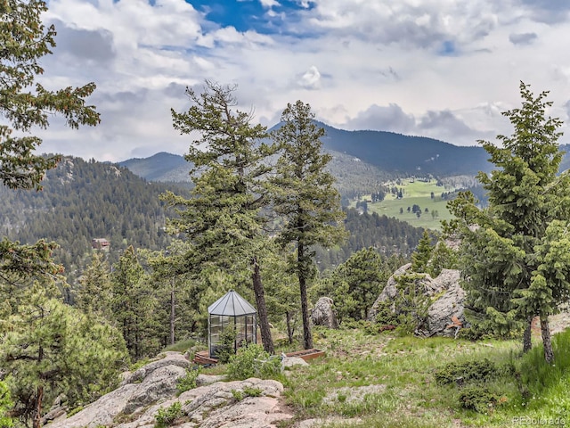 7273 Silverhorn Dr, Evergreen, CO 80439 - mountain view with a forest