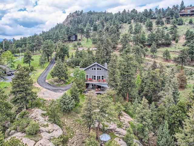 7273 Silverhorn Dr, Evergreen, CO 80439 - drone / aerial view of a forest
