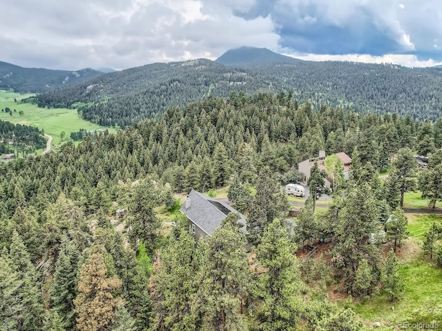 7273 Silverhorn Dr, Evergreen, CO 80439 - bird's eye view of a forest and mountains