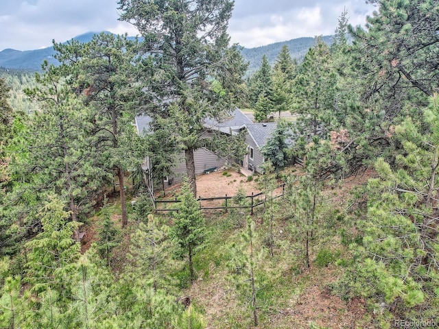 7273 Silverhorn Dr, Evergreen, CO 80439 - photo 18