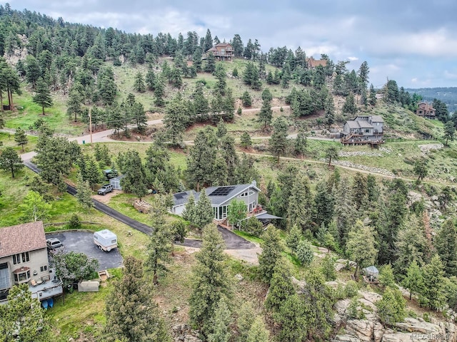 7273 Silverhorn Dr, Evergreen, CO 80439 - photo 31