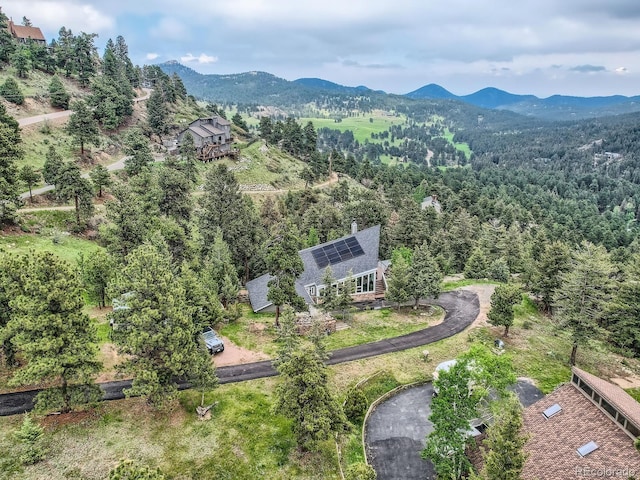 7273 Silverhorn Dr, Evergreen, CO 80439 - photo 32
