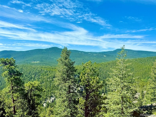 1460 Aspen Dr, Evergreen, CO 80439 - photo 24