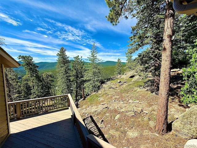 1460 Aspen Dr, Evergreen, CO 80439 - photo 29