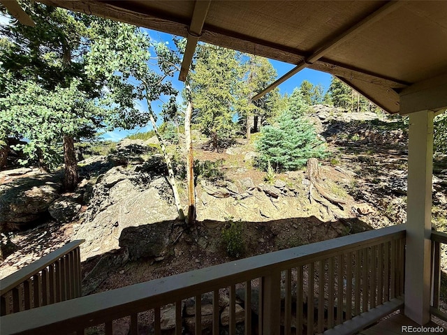 1460 Aspen Dr, Evergreen, CO 80439 - photo 30