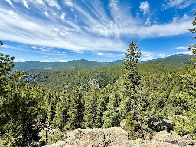 1460 Aspen Dr, Evergreen, CO 80439 - photo 32