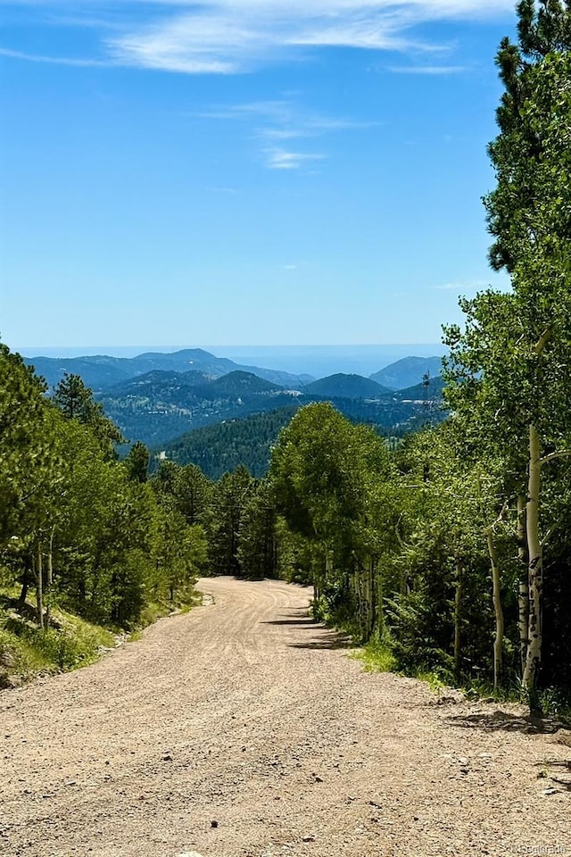 1460 Aspen Dr, Evergreen, CO 80439 - photo 33