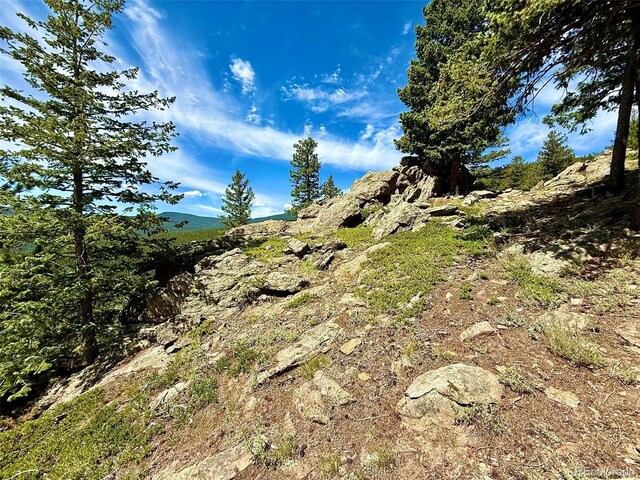 1460 Aspen Dr, Evergreen, CO 80439 - photo 40