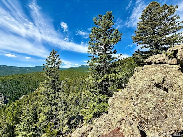 1460 Aspen Dr, Evergreen, CO 80439 - photo 41