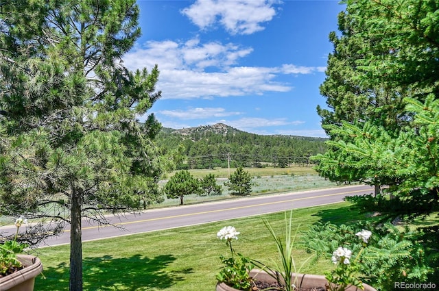 3311 Klondike Pl, Castle Rock, CO 80108 - photo 36