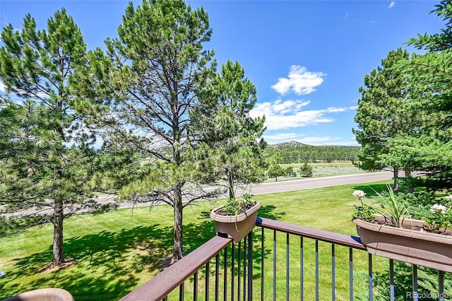3311 Klondike Pl, Castle Rock, CO 80108 - photo 37