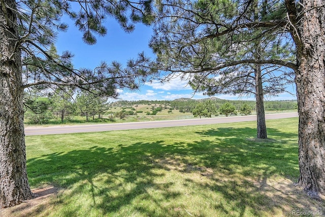 3311 Klondike Pl, Castle Rock, CO 80108 - photo 39