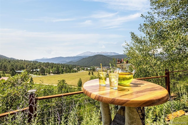 710 Sunrise Cir, Woodland Park, CO 80863 - photo 15