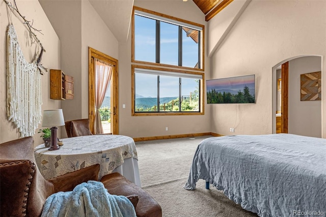 710 Sunrise Cir, Woodland Park, CO 80863 - photo 17