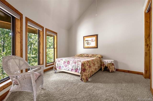 710 Sunrise Cir, Woodland Park, CO 80863 - photo 33